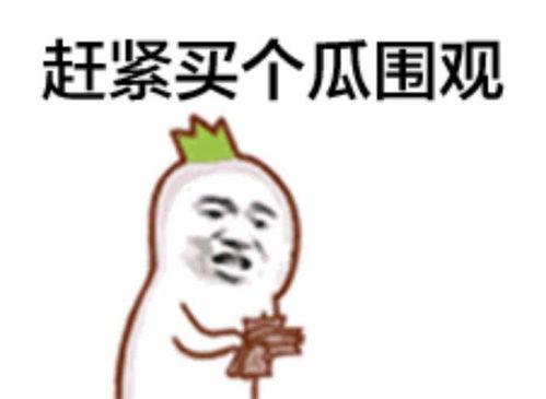 吃瓜的表情该怎么回复,揭秘网络社交中的趣味与心理