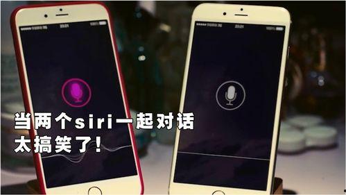 搞笑siri对话视频